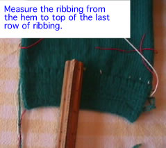 length of rib